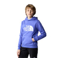 Kids Drew Peak Hoodie Cave Blue